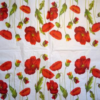 056 Daffodils - 3-ply (weiß/blau) - Ihr